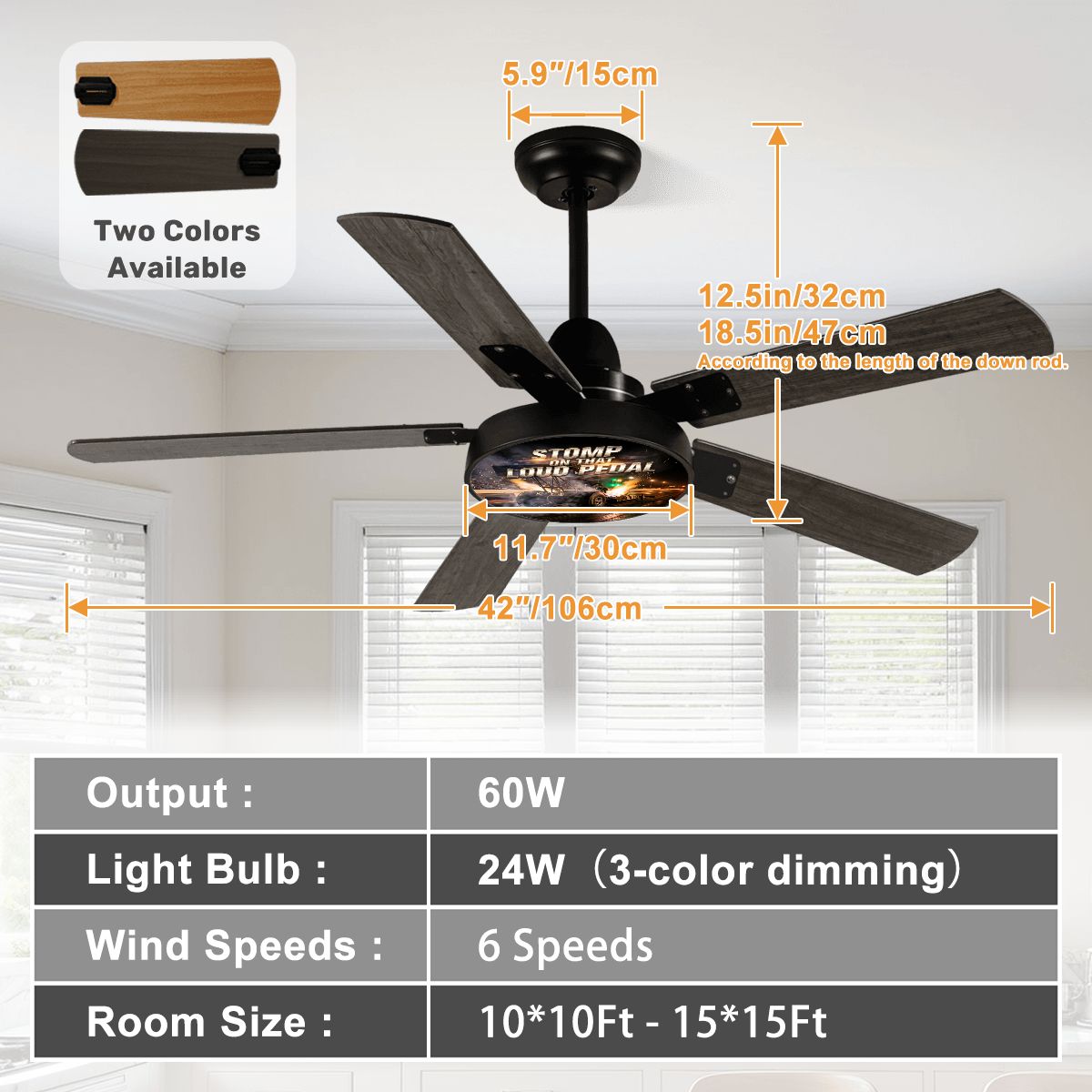 Ceiling Fan With Light