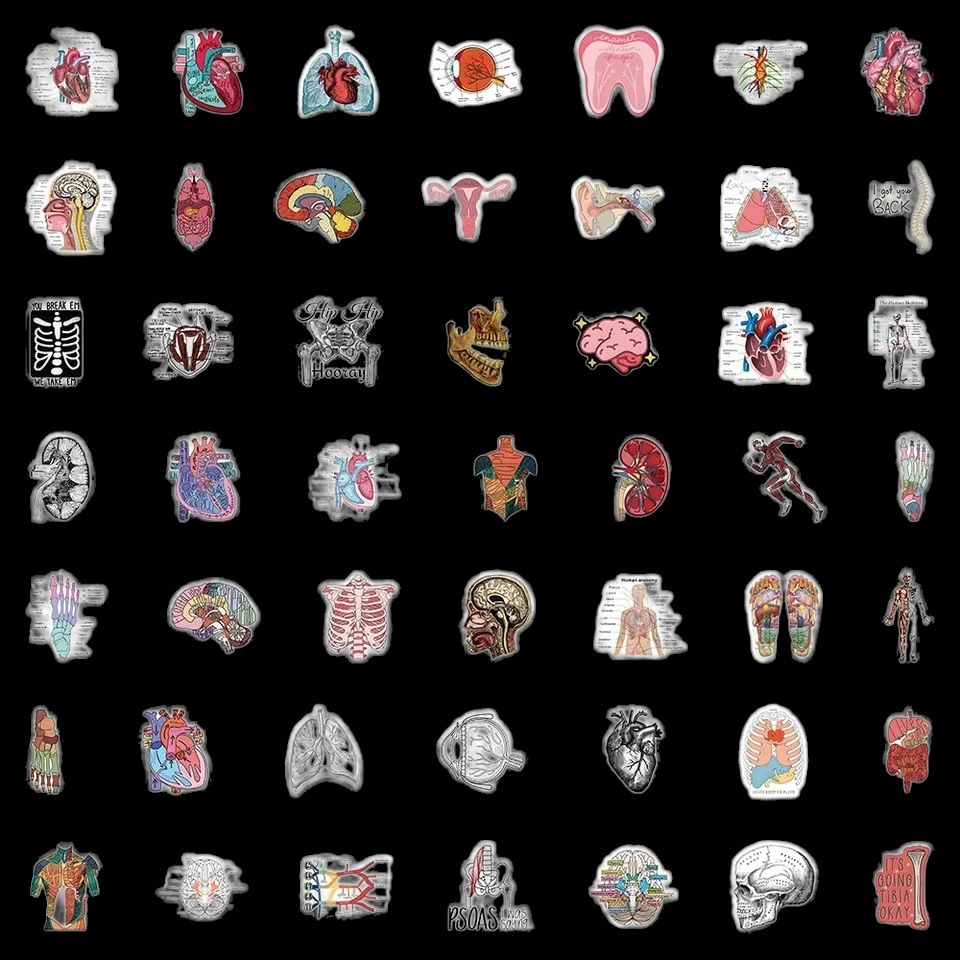 Lot of 50 Medical Anatomy Stickers - The Salty Medic