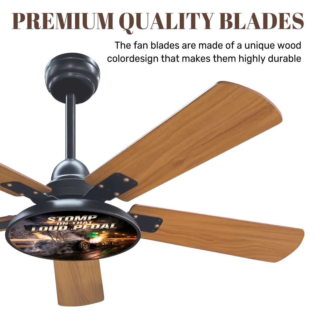 Ceiling Fan With Light