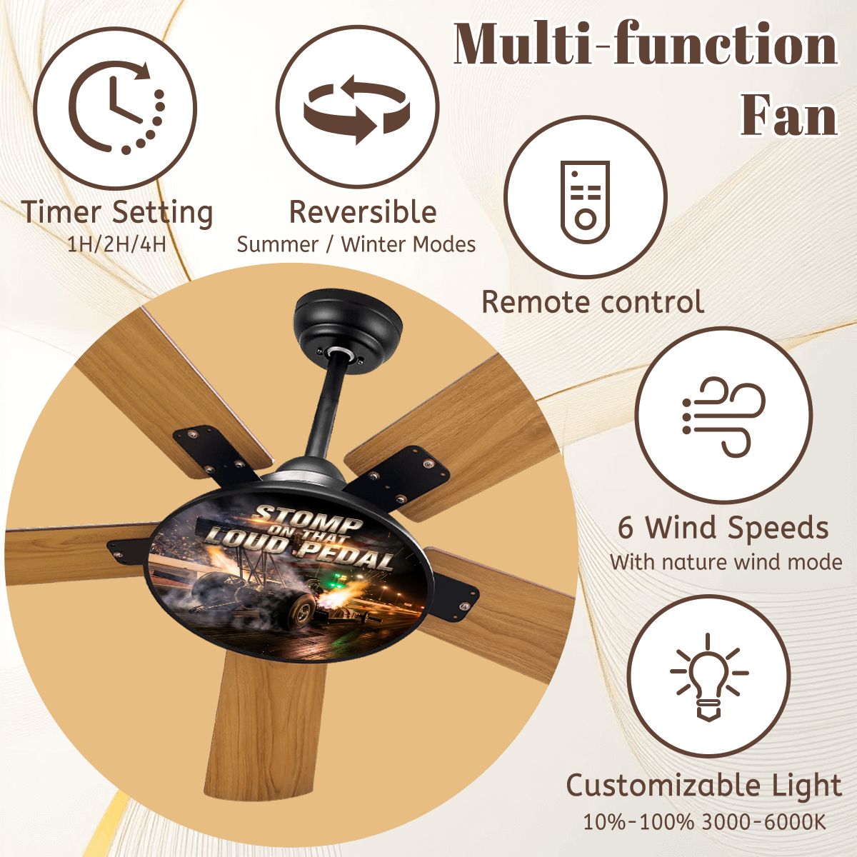 Ceiling Fan With Light