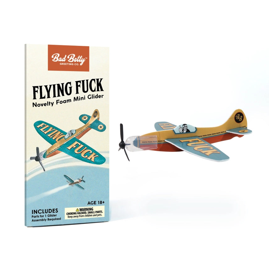 Funny foam airplane desk toy flying fuck glider, adult novelty gift for office desks, coworkers, and dark humor fans